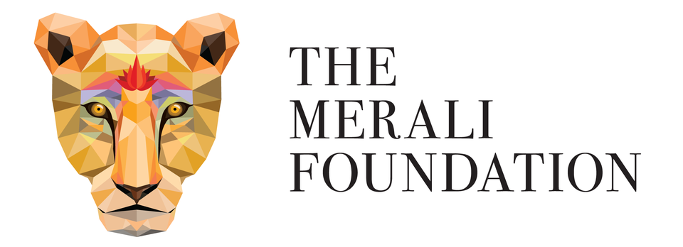 The Merali Foundation logo